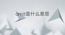 amit是什么意思 amit的中文翻译、读音、例句