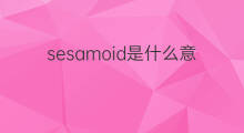 sesamoid是什么意思 sesamoid的中文翻译、读音、例句