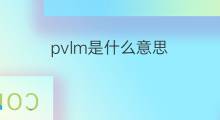 pvlm是什么意思 pvlm的中文翻译、读音、例句