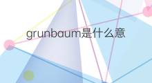 grunbaum是什么意思 grunbaum的中文翻译、读音、例句