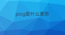 piog是什么意思 piog的中文翻译、读音、例句