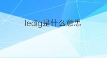 ledig是什么意思 ledig的中文翻译、读音、例句