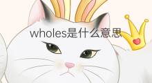 wholes是什么意思 wholes的中文翻译、读音、例句