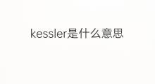kessler是什么意思 kessler的中文翻译、读音、例句