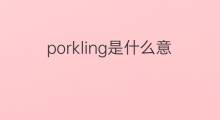 porkling是什么意思 porkling的中文翻译、读音、例句