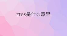 ztes是什么意思 ztes的中文翻译、读音、例句