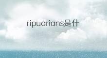 ripuarians是什么意思 ripuarians的中文翻译、读音、例句