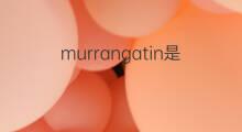 murrangatin是什么意思 murrangatin的中文翻译、读音、例句