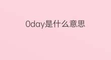 0day是什么意思 0day的中文翻译、读音、例句