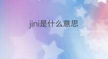 jini是什么意思 jini的中文翻译、读音、例句