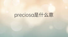 preciosa是什么意思 preciosa的中文翻译、读音、例句