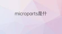 microparts是什么意思 microparts的中文翻译、读音、例句
