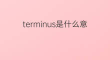 terminus是什么意思 terminus的中文翻译、读音、例句