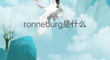 ronneburg是什么意思 ronneburg的中文翻译、读音、例句