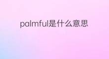palmful是什么意思 palmful的中文翻译、读音、例句
