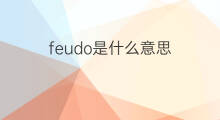 feudo是什么意思 feudo的中文翻译、读音、例句