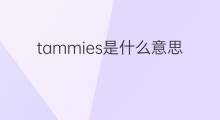 tammies是什么意思 tammies的中文翻译、读音、例句