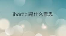 ibaragi是什么意思 ibaragi的中文翻译、读音、例句