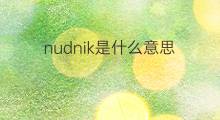 nudnik是什么意思 nudnik的中文翻译、读音、例句