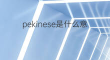 pekinese是什么意思 pekinese的中文翻译、读音、例句