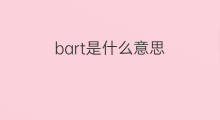 bart是什么意思 bart的中文翻译、读音、例句