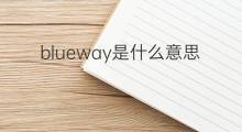 blueway是什么意思 blueway的中文翻译、读音、例句