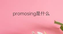 promosing是什么意思 promosing的中文翻译、读音、例句