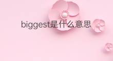 biggest是什么意思 biggest的中文翻译、读音、例句