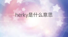 herky是什么意思 herky的中文翻译、读音、例句