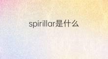 spirillar是什么意思 spirillar的中文翻译、读音、例句