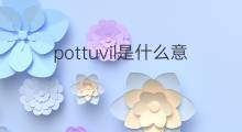 pottuvil是什么意思 pottuvil的中文翻译、读音、例句