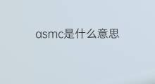 asmc是什么意思 asmc的中文翻译、读音、例句