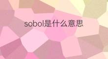 sobol是什么意思 英文名sobol的翻译、发音、来源