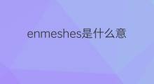 enmeshes是什么意思 enmeshes的中文翻译、读音、例句