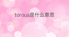 torous是什么意思 torous的中文翻译、读音、例句