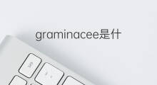 graminacee是什么意思 graminacee的翻译、读音、例句、中文解释
