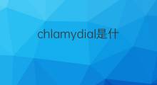 chlamydial是什么意思 chlamydial的中文翻译、读音、例句