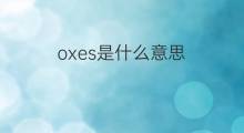 oxes是什么意思 oxes的中文翻译、读音、例句