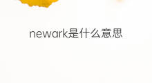 newark是什么意思 newark的中文翻译、读音、例句