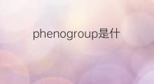 phenogroup是什么意思 phenogroup的中文翻译、读音、例句
