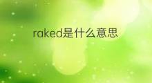 raked是什么意思 raked的中文翻译、读音、例句
