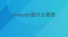 nineveh是什么意思 nineveh的中文翻译、读音、例句