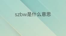 szbw是什么意思 szbw的翻译、读音、例句、中文解释