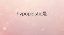 hypoplastic是什么意思 hypoplastic的中文翻译、读音、例句