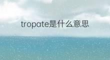 tropate是什么意思 tropate的中文翻译、读音、例句
