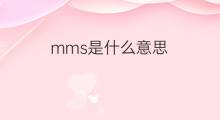 mms是什么意思 mms的中文翻译、读音、例句
