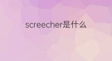 screecher是什么意思 screecher的中文翻译、读音、例句