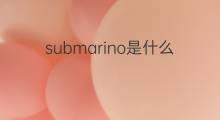 submarino是什么意思 submarino的中文翻译、读音、例句