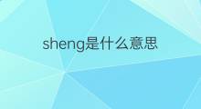 sheng是什么意思 sheng的翻译、读音、例句、中文解释