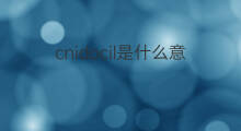 cnidocil是什么意思 cnidocil的中文翻译、读音、例句